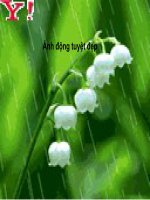 ẢNH ĐỘNG TUYỆT ĐẸP