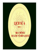 Bài giảng sơ lược về môn lịch sử lịch sử 6