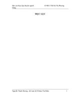 luận văn kế toán Hoàn thiện Kế toán Nguyên vật liệu tại Công ty Cổ phần thương mại & đầu tư Biểu Tượng Việt