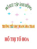 19BỘ SƯU TẬP HÌNH ĐỘNG HAY