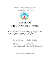 luận văn kế toán Hoàn thiện kế toán bán hàng tại Công ty CP Đầu Tư Thương Mại Và Dịch Vụ Sức Sống Mới
