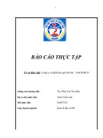 Báo cáo tổng hợp về tình hình HOẠT ĐỘNG CÓ LIÊN QUAN ĐẾN HOẠT ĐỘNG ĐẦU TƯ VÀ QUẢN LÝ ĐẦU TƯ tại Công ty cổ phần đá quý Hà Nội - HAGEMCO