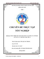 luận văn kế toán HOÀN THIỆN KẾ TOÁN BÁN HÀNG TẠI CÔNG TY CỔ PHẨN SẢN XUẤT VÀ THƯƠNG MẠI VIỆT Á