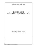 KẾ HOACH BD HS GIỎI NĂM HỌC 2010-2011