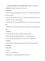 Giáo án sinh bài quang hợp ở các nhóm thực vật c3, c4 và CAM