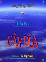 tập đọc- Cây dừa- Phiếm