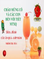 Giáo án dạy về cây ăn quả cho bé mầm non