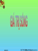 GIÁ TRỊ CS