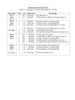 MT TUAN 11 CHUAN KTKN