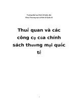 Thuế quan và các công cụ của chính sách thương mại quốc tế