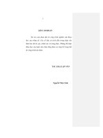 Luận văn cao học Hoàn thiện chính sách đào tạo nguồn nhân lực tại Tổng công ty Viglacera