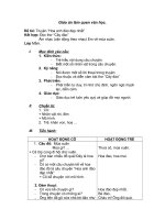 Hoa anh đào đẹp nhất