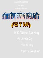 TIỂU LUẬN KÍNH HIỂN VI ĐƯỜNG NGẦM QUẾT (STM)