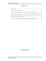 Tổng hợp và nghiên cứu các tính chất quang điện của pin mặt trời chấm lượng tử CdSe nhạy quang