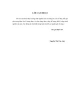 luận văn thạc sĩ tài chính ngân hàng Phát triển hoạt động cho vay doanh nghiệp vừa và nhỏ tại ngân hàng thương mại cổ phần Kỹ thương Việt Nam - Techcombank