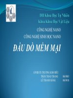 Ứng dụng công nghệ nano trong Y Sinh học - Đầu dò mềm mại