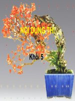 Tro choi vui de học khoi 5