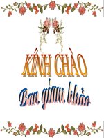 gioi thieu he noi tiet