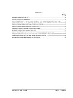 Báo cáo tài chính Công ty trách nhiệm hữu hạn Dầu Khi Đài Hải