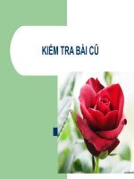 Bài 10, Tiết 39. Màu sắc trên trang chiếu
