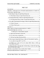 TÍN DỤNG KHÁCH HÀNG CÁ NHÂN CỦA các  NGÂN HÀNG THƯƠNG MẠI VIỆT NAM