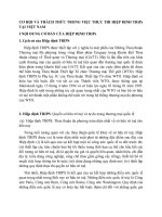 CƠ hội và THÁCH THỨC TRONG VIỆC THỰC THI HIỆP ĐỊNH TRIPs tại VIỆT NAM