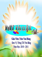 Bai28 trang tri lo hoa mi thuat 4