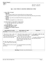 Giáo án Tin học lớp 8 cả năm_CKTKN_Bộ 3