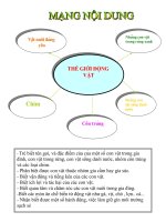 mang noi dung hoat dong