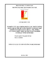 Nghiên cứu qui trình phân lập, nhân giống dạng dịch thể để nuôi trồng nấm Đầu khỉ (Hericium erinaceus (Bull. Fr.) Pers.) và tách chiết một số polysaccharide có hoạt tính sinh học (TT)