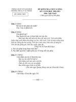 ĐỀ KIỂM TRA CHẤT LƯỢNG KỲ I NĂM HỌC 2010-2011 Môn: Ngữ Văn 8