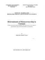 Determinants of homeownership in VietNam  Luận văn thạc sĩ