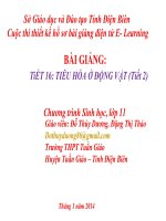 Slide sinh 11 tiêu hóa ở động vật tiết2 _Đ.T Dương ft Đ.T thảo