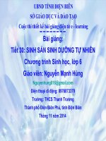 Slide sinh 6 sinh sản sinh dưỡng tự nhiên _Gv N.M Hùng