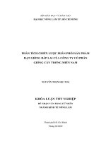 Phân tích chiến lược phân phối sản phẩm hạt giống bắp lai