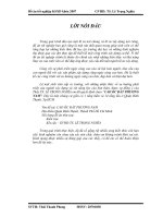 Đồ Án Tốt Nghiệp Kỹ Sư Xây Dựng Khóa 2007-2012 Cao ốc Đất Phương Nam quận Bình Thạnh