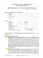 HỢP ĐỒNG NGUYÊN TẮC QUYỀN CHỌN NGOẠI TỆ