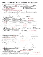 Hidrocacbon thơm có đáp án
