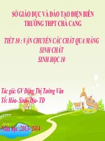 Slide sinh 10 vận chuyển các chất qua màng sinh chất _Gv Đ.T.T Vân