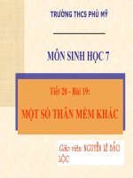 BÀI 19: MỘT SỐ THÂN MỀM KHÁC