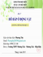 Slide sinh 11 bài 17 hô hấp ở động vật _P.Thu