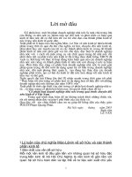 Cổ phần hoá doanh nghiệp nhà nước trong quá trình chuyển đổi nền kinh tế ở việt nam