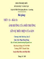 Slide sinh 12 bài 13 ảnh hưởng của môi trường lên sự biểu hiện của gen