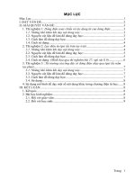 Thiết kế và sử dụng mô hình vật lí trong dạy học chương điện từ học lớp 9