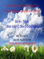 Slide sinh 11 bài 44 sinh sản vô tính ở động vật _N.T Tâm