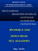 Slide sinh 10 bài 19 giảm phân