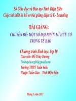 Slide sinh 10 một số đại phân tử hữu cơ trong tế bào Gv Đ.T Dương