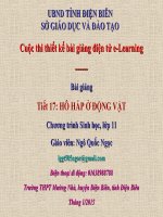 Slide sinh 11 hô hấp ở động vật _N.Q Ngọc