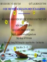 Slide sinh 6 khái niệm sơ lược về phân loại thực vật _Gv P.Q Điều