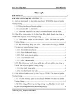 Bài báo cáo tổng hợp về Công ty TNHHTM dược mỹ phẩm Trường Giang.